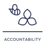 Our values - accountability 