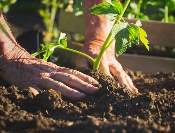 growing for wellbeing week