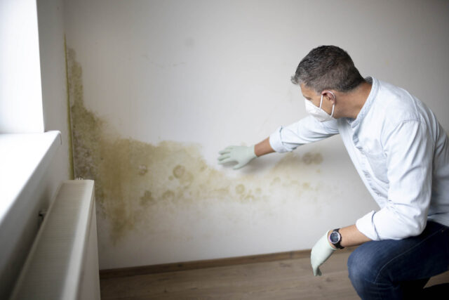 Photograph showing a person wearing gloves inspecting mould growth on a wall near a window and radiator. The mould appears as large, discoloured patches spreading across a lower wall area, indicating possible moisture damage.